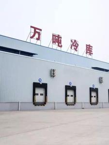 三国：我，神谋鬼算李伯川