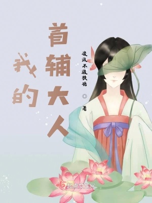 我的首辅大人