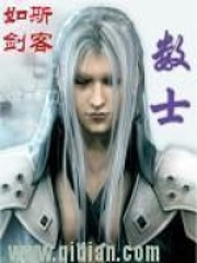 数士