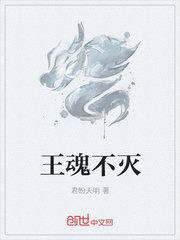王魂不灭
