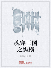 魂穿三国之纵横