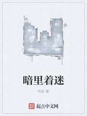 暗里着迷