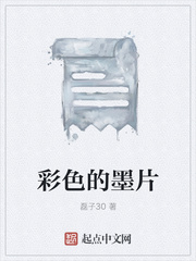 彩色的墨片