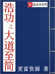 浩功之大道至简