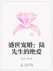 盛世宠婚：陆先生的绝爱