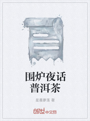围炉夜话普洱茶