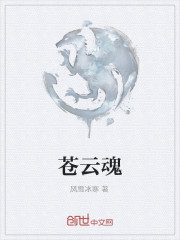 苍云魂
