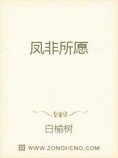 凤非所愿
