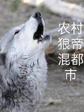 顶级向导净化系，大佬全进我碗里
