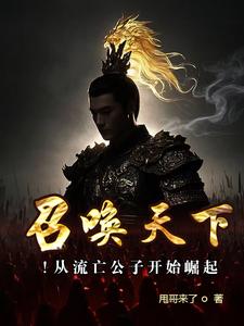全能女婿