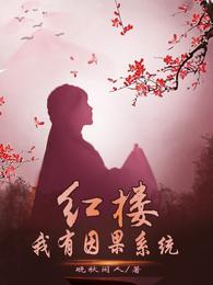 红楼：我有因果系统
