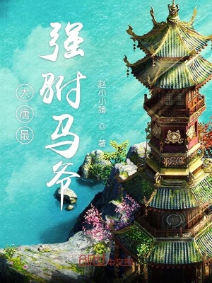 大唐最强驸马爷