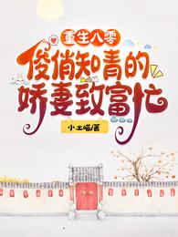重生八零：俊俏知青的娇妻致富忙